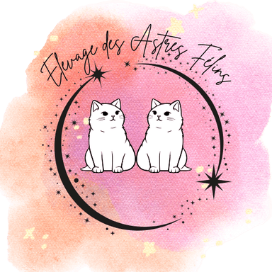 store_logo