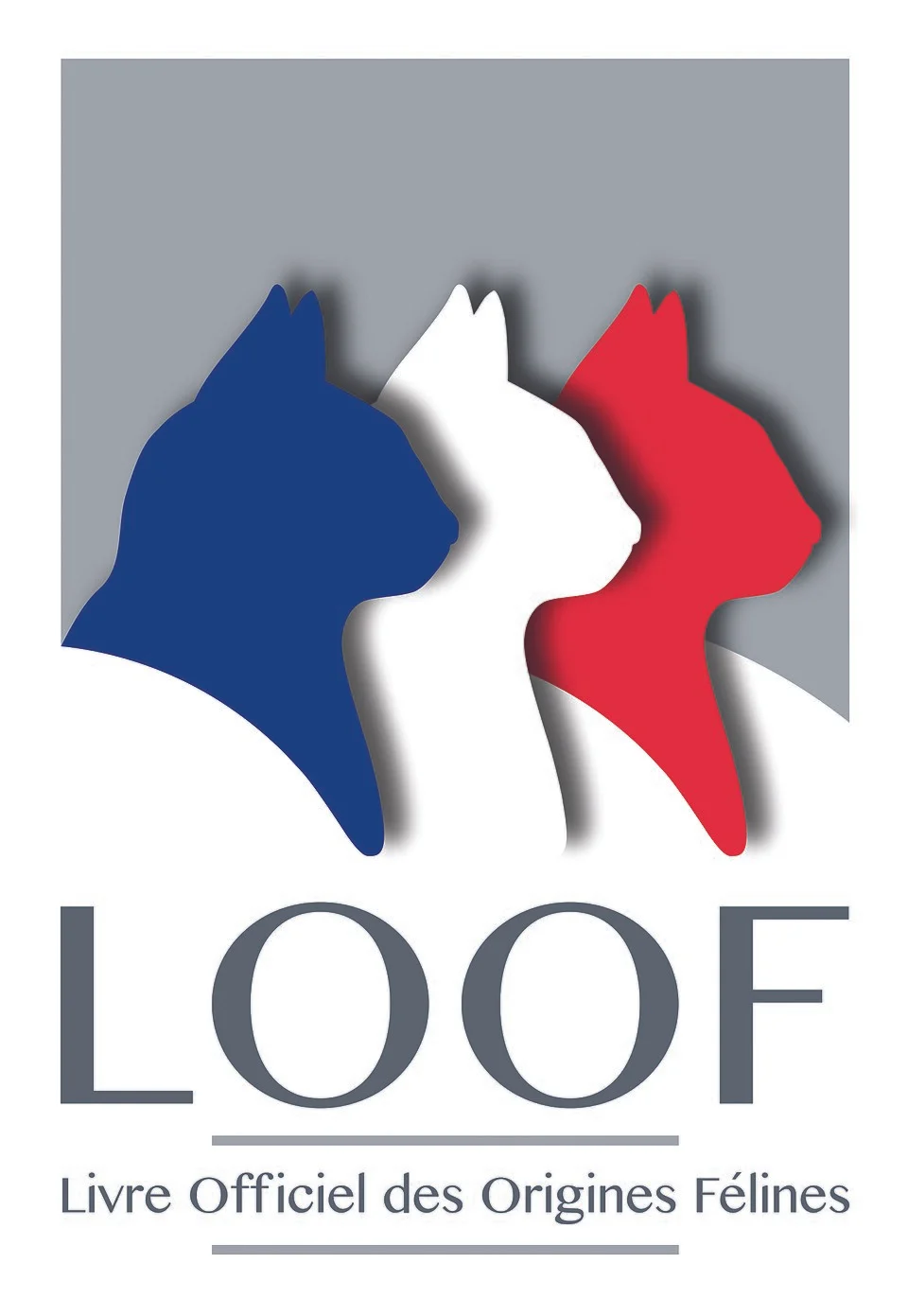 Loof Logo