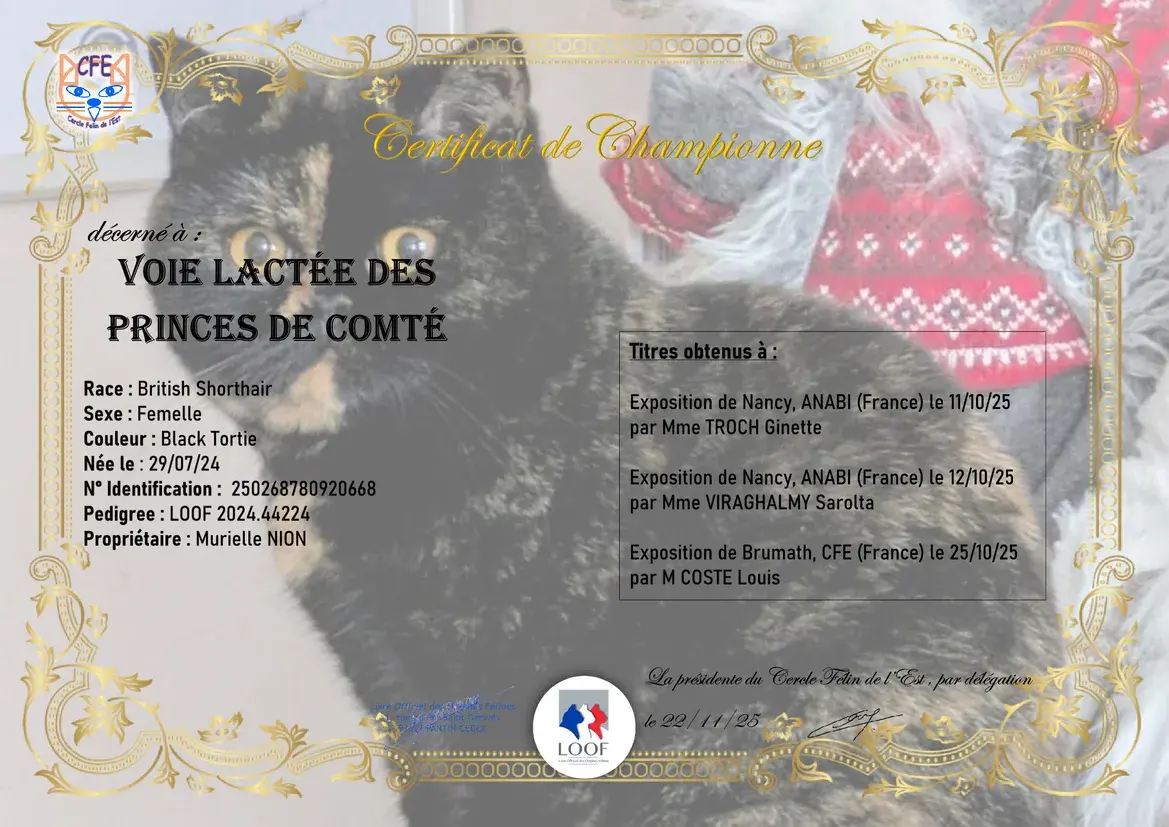 Diplome de championne National